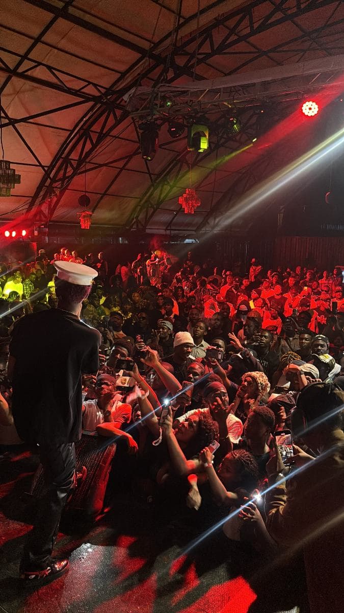 Crowd at a show